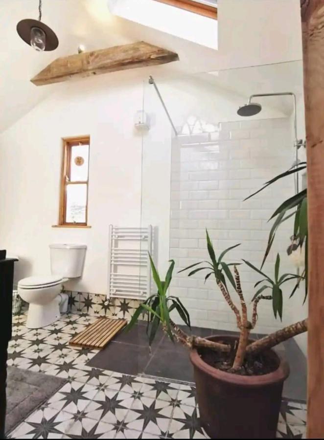 The Carton Store Loft Apt Apartman Cork Kültér fotó